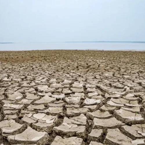 Uma Seca Histórica Atinge o Brasil